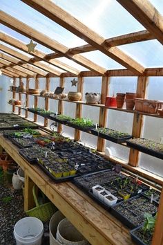 many plants are growing in small pots on the shelves inside an indoor grower's greenhouse