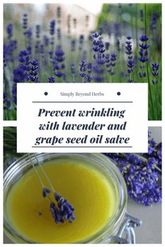 Lavender salve with grape seed oil will help you to prevent wrinkling Lavender Salve, Home Apothecary, Grape Seed Oil, Diy Lavender, Natural Skincare Recipes, Herbal Salves, Healthy Herbs, Natural Anti Aging, Herbs For Health