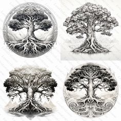 four different types of trees and their roots