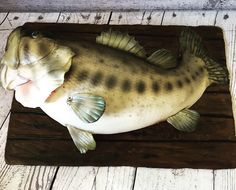 a cake shaped to look like a fish on a wooden board with white wood planks