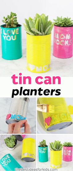 tin can planters with succulent plants in them