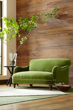 a green couch sitting on top of a hard wood floor next to a potted plant