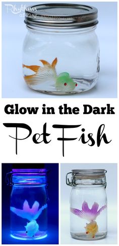 glow in the dark pet fish with text overlay that reads glow in the dark pet fish