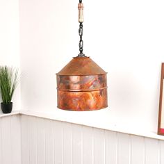 a lamp hanging from the side of a white wall next to a potted plant