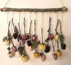 several dried flowers hanging from a wooden branch on a white wall with string attached to it