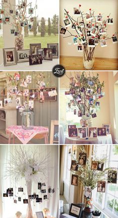 a collage of photos and trees in vases with pictures attached to the branches