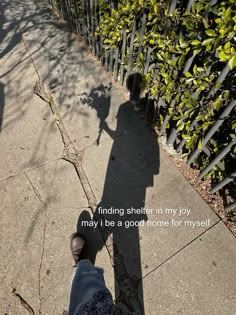 the shadow of a person standing on a sidewalk next to a fence and shrubbery