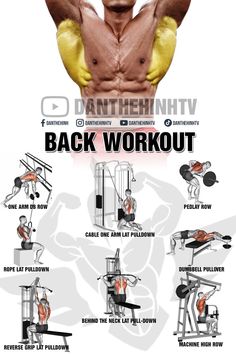 the back workout poster shows how to do it