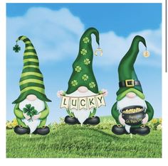 three st patrick's day gnomes with lucky signs