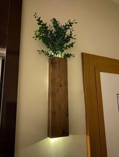 a plant is in a wooden vase on the wall