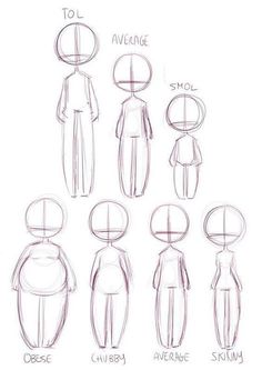 an image of how to draw people from different angles and body shapes, with the words average