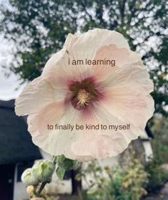 a pink flower with the words i am learning to finally be kind to my self