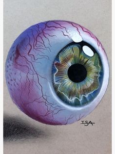 a drawing of an eyeball with the iris opened, and its reflection in it