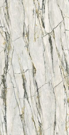 Calacatta Emerald Slab countertop Wood Ceramic Tiles, Green Granite, Shower Wall Tile, Pebble Tile, Honed Marble, Calacatta Marble, Mosaic Decor, Stone Surface, Marble Slab