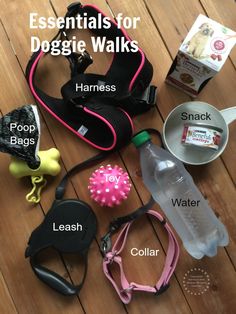 essentials for doggie walks laid out on a wooden floor with text overlay