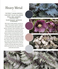 brochure showing different types of leaves and flowers