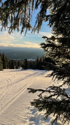 there is a snow covered hill with trees in the foreground and mountains in the background