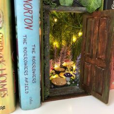 there is a book shelf with many books on it and a fairy garden in the window