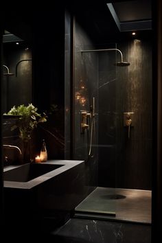 a bathroom with a sink, shower and toilet in black color scheme on the wall