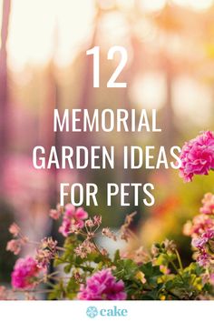 pink flowers with the words 12 memorial garden ideas for pets on it in front of trees