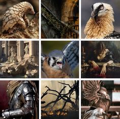 many different pictures of birds and statues