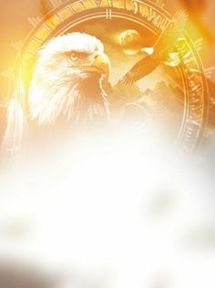 an eagle is standing in front of a clock with the sun shining down on it