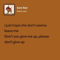 the cover art for steve lacy's album i just hope she don't wanna leave me don't you give me up, please don't give up