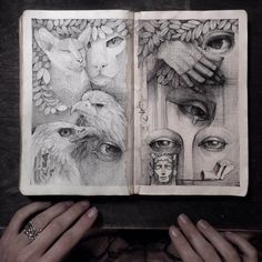 a person holding an open book with drawings on it and two cats in the pages