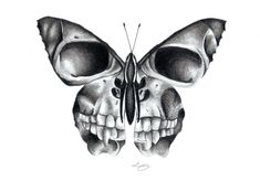 a black and white drawing of a butterfly with two skulls on it's wings