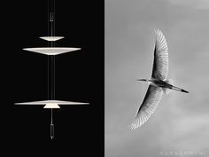 a bird flying through the air next to a light fixture