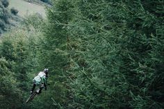 a person on a bike in the middle of some trees