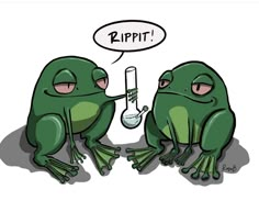 two green frogs sitting next to each other holding a test tube with liquid in it