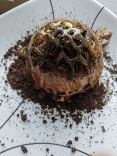 a chocolate dessert on a white plate covered in dirt