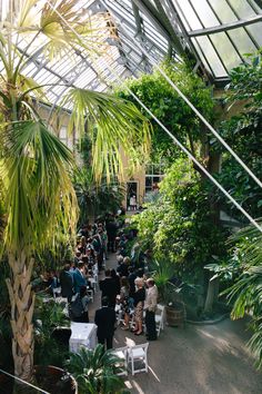 a group of people standing inside of a greenhouse filled with lots of trees and plants