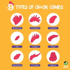 different types of chok combs are shown in this graphic diagram, which shows how they