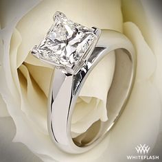 a white rose with a diamond ring on it