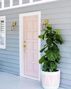 a house with a potted plant next to it and the door is pink in color