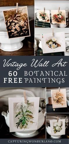 vintage wall art with free paintings on it and text overlay that reads vintage wall art 60 botanical free paintings