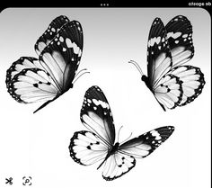 three black and white butterflies flying side by side on a white background with the caption's name in spanish