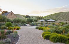 an outdoor garden with gravel path leading to two pavilions in the distance, surrounded by greenery and trees