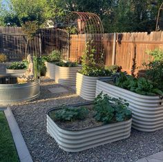 an outdoor garden with raised beds and various plants