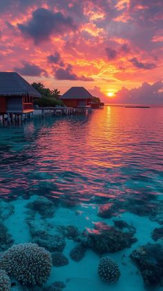 the sun is setting over some water with corals in front of it and houses