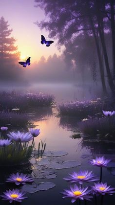 two butterflies flying over water lilies in front of a forest at sunset with the sun setting