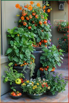 there are many potted plants on the side of the building with orange flowers in them