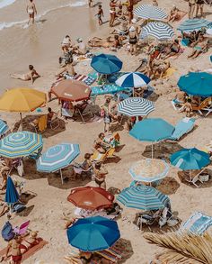 many people are on the beach with umbrellas