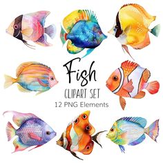 watercolor fish clipart set with 12 different colors and sizes to use in your design projects