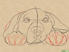 a drawing of a dog's face with red lines on the nose and ears