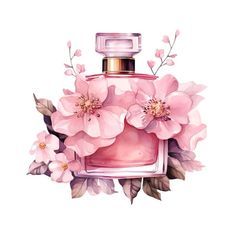 a watercolor painting of a pink perfume bottle with flowers on the front and side