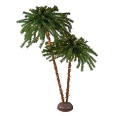 two palm trees with lights on them are in a brown pot, against a white background