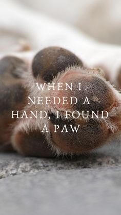 a dog paw with the words when i needed a hand, i found a paw